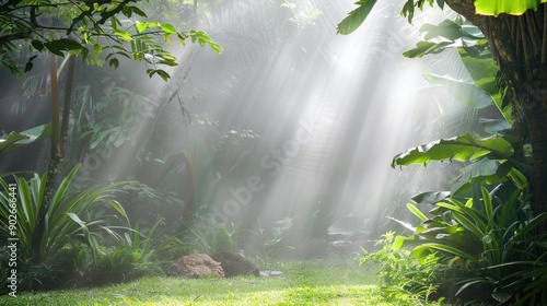 Jungle illuminated with beams of sunlight breaking fog