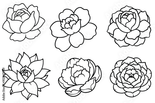 Peony line art illustration Design Concepts