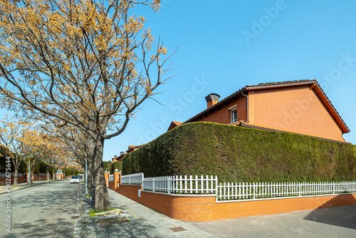 A serene street view of a quiet residential neighborhood lined with trees and red-bricked houses, creating a peaceful suburban atmosphere. photo