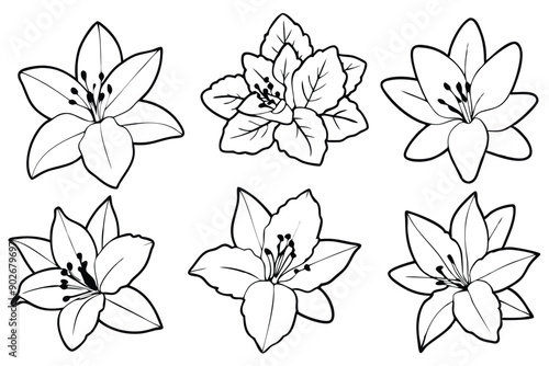 Rhododendron line art illustration Design Concepts