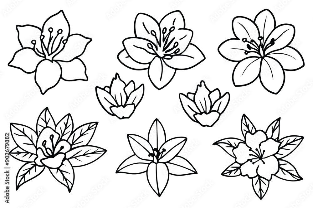 Fototapeta premium Rhododendron line art illustration Design Concepts