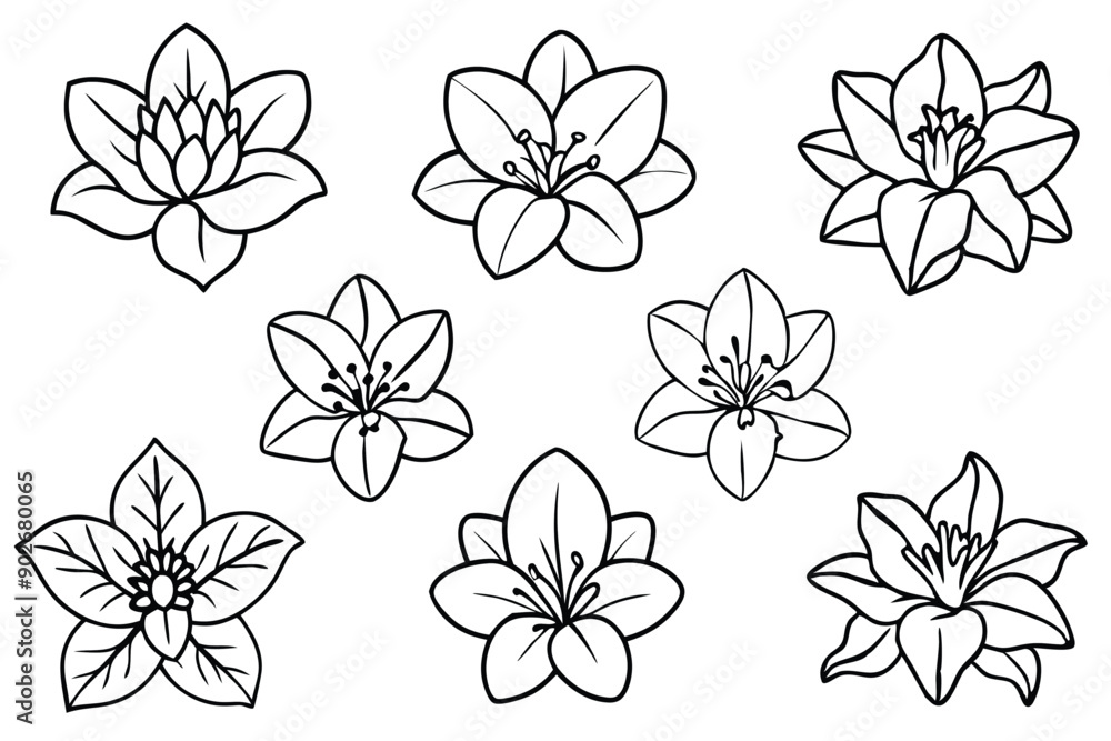 Rhododendron line art illustration Design Concepts Rhododendron line art illustration Design Concepts