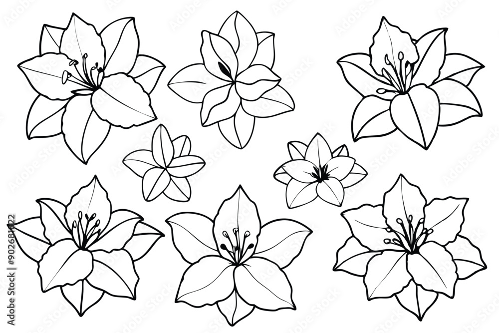 Rhododendron line art illustration Design Concepts Rhododendron line art illustration Design Concepts
