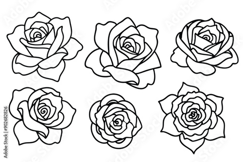Wallpaper Mural Rose line art illustration Design Concepts Torontodigital.ca