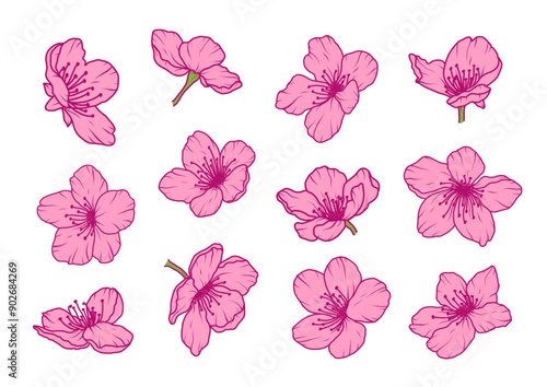 Set of sakura flowers spring petals. Cherry blossom pink Japanese floral branch. Apple plum bloom flowers. Chinese sakura floral abstract icons. Vector illustration in flat style