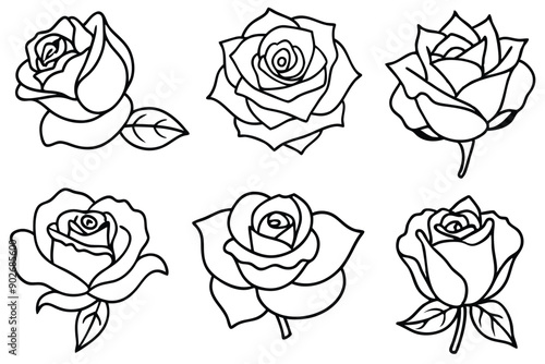 Wallpaper Mural Rose line art illustration Design Concepts Torontodigital.ca