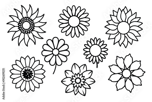Sunflower line art illustration Design Concepts