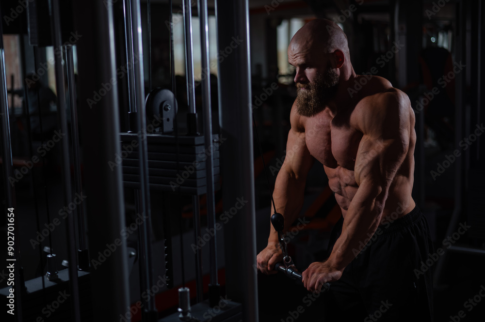 Bald Caucasian Bodybuilder doing heavy triceps exercises with cable. Bald Caucasian Bodybuilder doing heavy triceps exercises with cable.