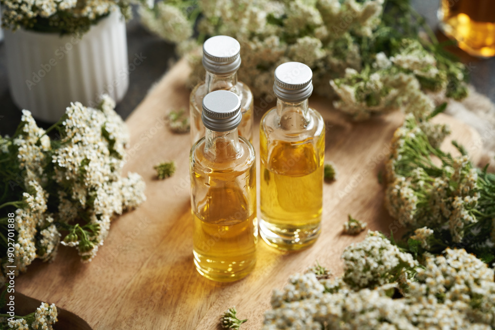 Yarrow tincture in three glass bottles Yarrow tincture in three glass bottles