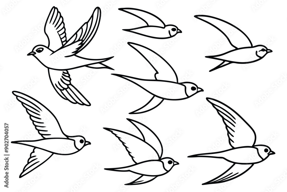 Fototapeta premium Swift bird line art illustration Design Concepts