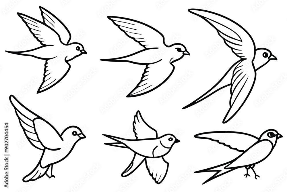 Obraz premium Swift bird line art illustration Design Concepts