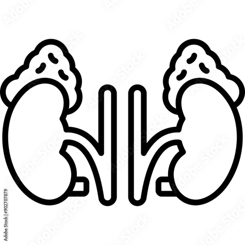 Adrenal Glands Icon