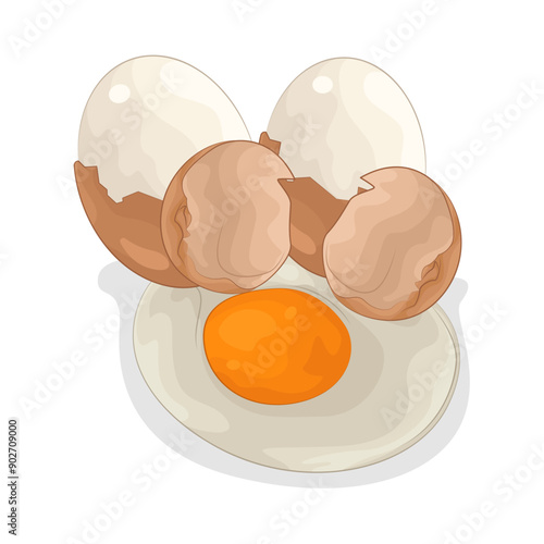 Illustration of egg 