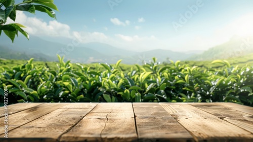 Wallpaper Mural Serene Tea Farm Morning Display - Natural and Organic Theme with Copy Space Torontodigital.ca