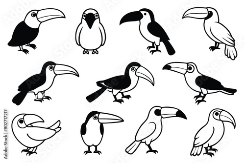 Toucan bird line art illustration Design