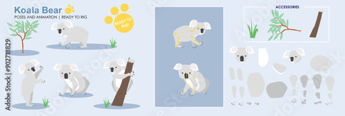 Cute Koala Bear character rig ready for animation multiple poses and angles vector collection nursery images animals