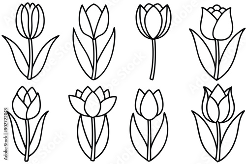 Tulip line art illustration Design Concepts