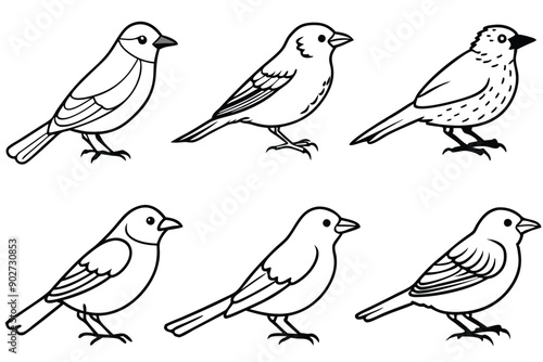 Wallpaper Mural Warbler bird line art illustration Design Concepts Torontodigital.ca