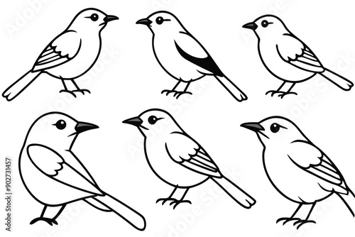 Wallpaper Mural Warbler bird line art illustration Design Concepts Torontodigital.ca