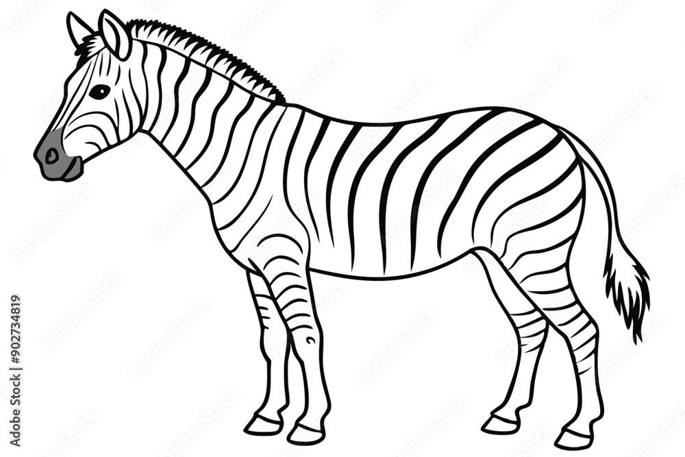 Fototapeta premium Zebra line art illustration Design