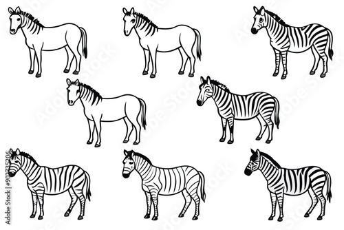 Zebra line art illustration Design