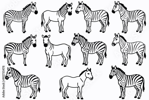 Zebra line art illustration Design
