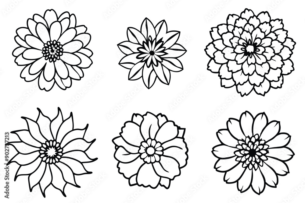 Fototapeta premium Zinnia line art illustration Design Concepts