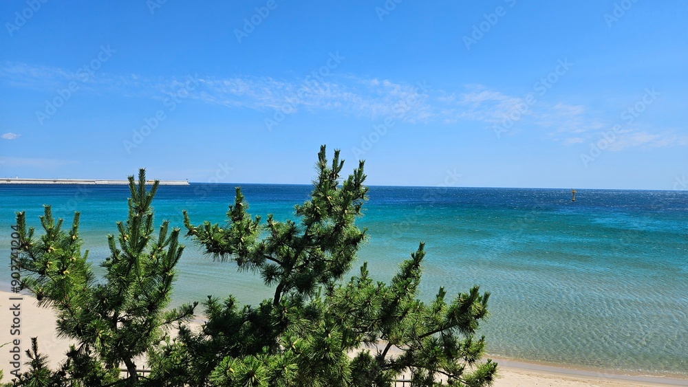 Blue sea and blue sky seen in the distance between green pine trees Blue sea and blue sky seen in the distance between green pine trees