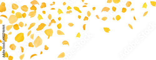Yellow falling rose or sunflowers petals.Transparent panoramic horizontal background.Amber flower spring template.