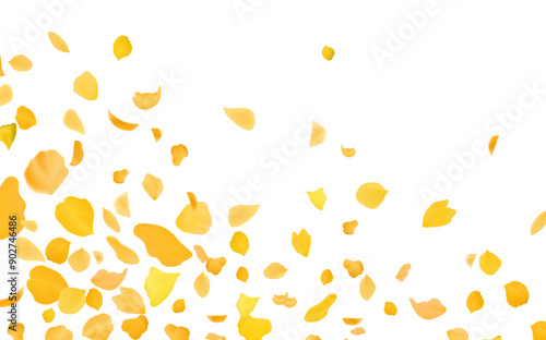 Yellow falling rose or sunflowers petals.Transparent panoramic horizontal background.Amber flower spring template.