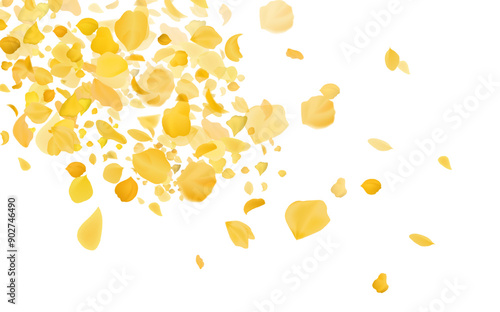 Yellow falling rose or sunflowers petals.Transparent panoramic horizontal background.Amber flower spring template.