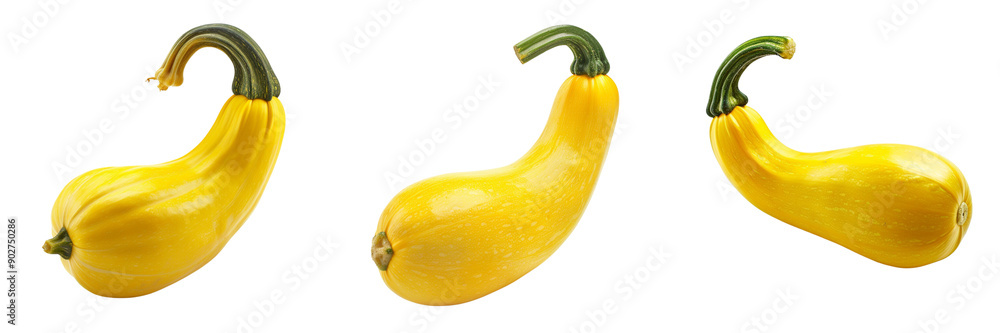 Set of A vibrant yellow squash isolated on transparent background (2) Set of A vibrant yellow squash isolated on transparent background (2)