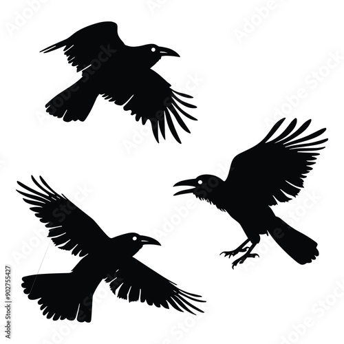 Silhouettes of three crows in flight and landing positions.