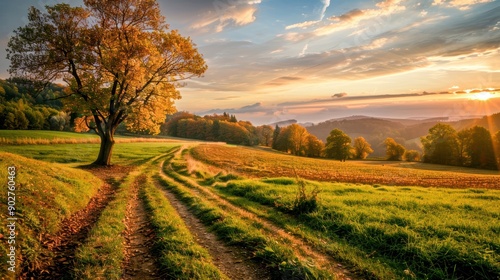 Scenic field with trees and a dirt path winding through, illuminated by the warm hues of a sunset