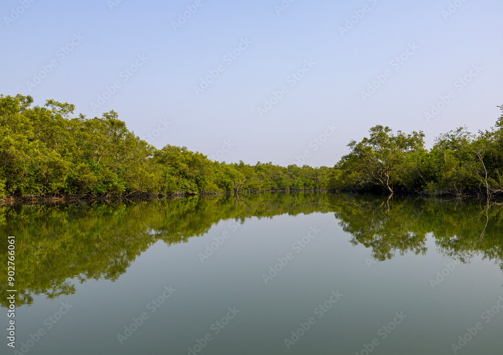 Mangrove in the Sundarbans, Khulna Division, Shyamnagar, Bangladesh Mangrove in the Sundarbans, Khulna Division, Shyamnagar, Bangladesh