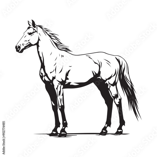 Horse Image. Horse Vector Illustration. horse isolated on white