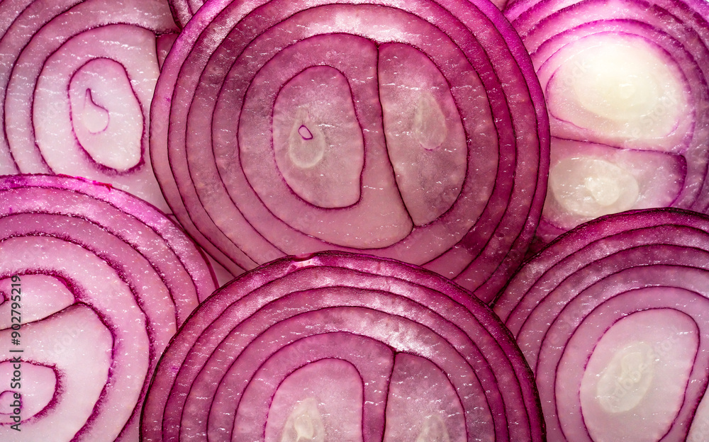 red onion slices background. Texture slices of onion red onion slices background. Texture slices of onion