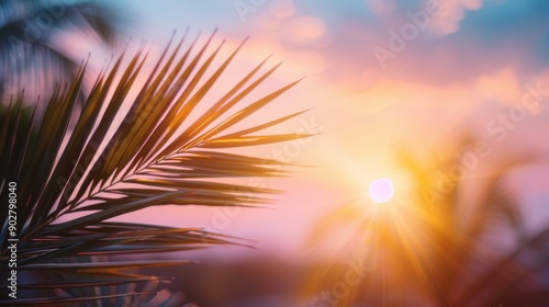 Tropical Sunrise Through Palm Leaves with Vibrant Sky