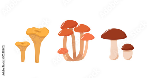 Set of mushroom icons vector. Illustration of boletus, chanterelles, honey mushrooms, aspen mushroom and russula.
