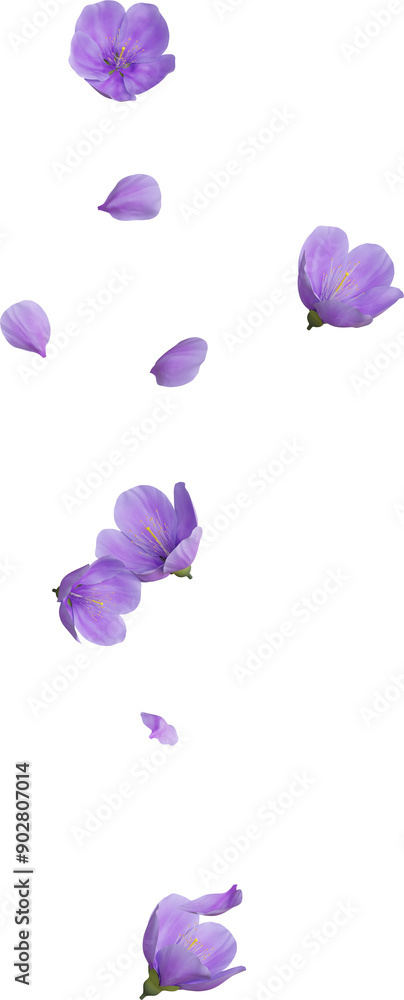Naklejka premium purple cherry blossom
