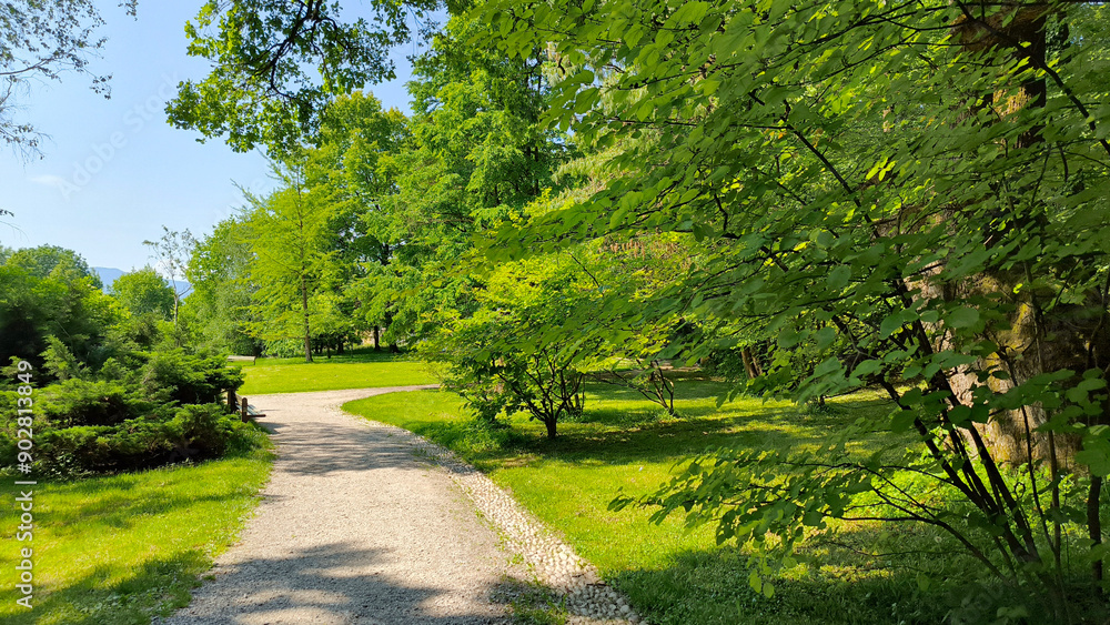 Naklejka premium spring in Tivoli park in Ljubljana