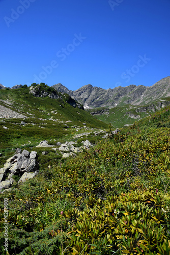 Valley of the mountain river Malaya Dukka in the mountains of the North Caucasus. Tourist trail to the lakes in the mountains of the Arkhyz resort, Karachay-Cherkessia, Russia