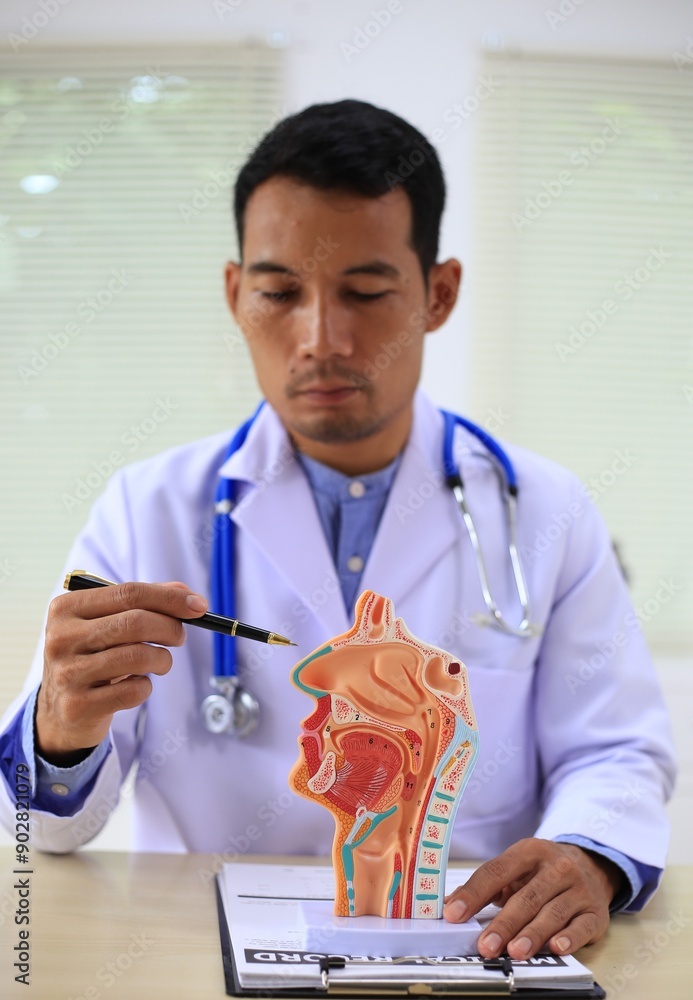 A male gynecologist examines prosthetic organs in a medical room, ensuring their quality and accuracy for training and patient care purposes. A male gynecologist examines prosthetic organs in a medical room, ensuring their quality and accuracy for training and patient care purposes.