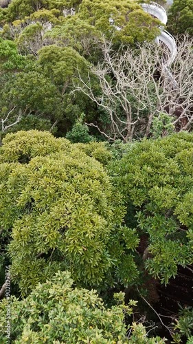 日本の風景 青い海と岬の上にある展望台をドローンで空撮 鹿児島県志布志市の風景