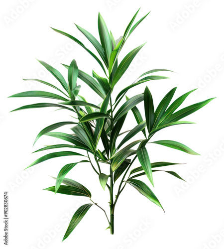 Vibrant green tropical plant