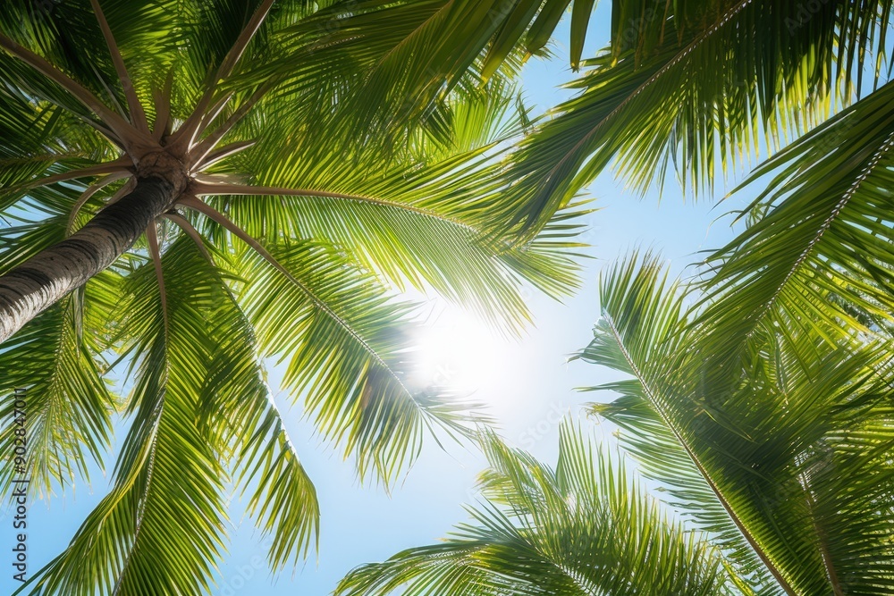 Palm Trees Under a Bright Sunny Sky Palm Trees Under a Bright Sunny Sky