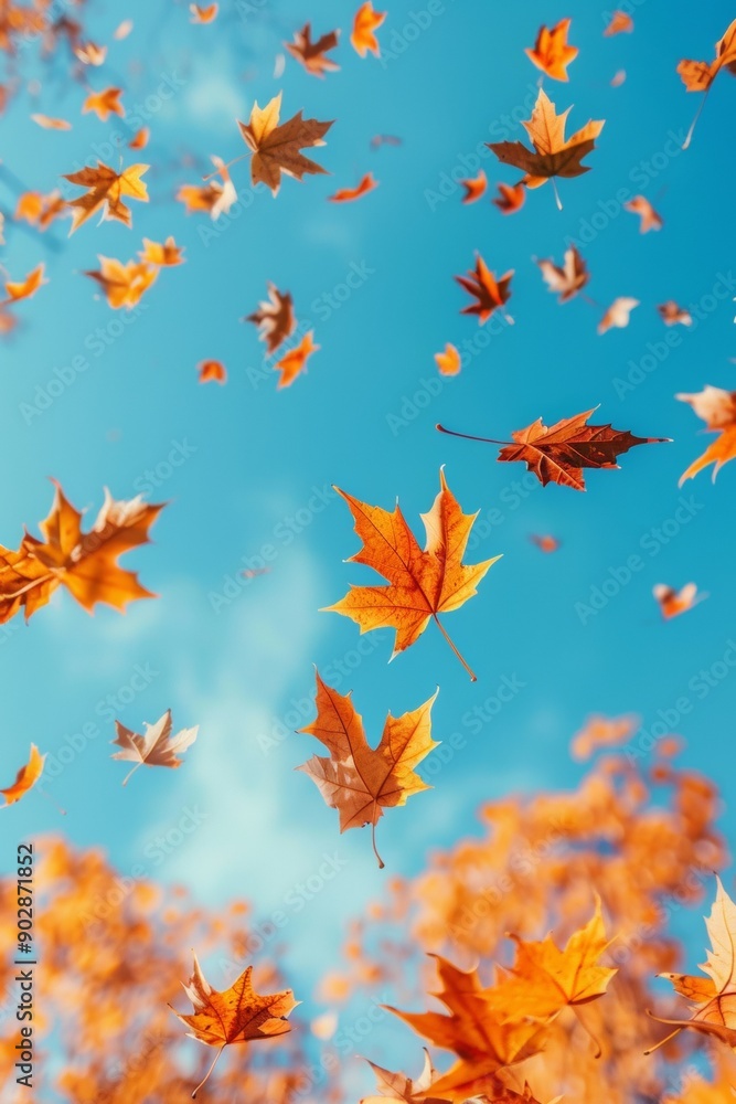 Golden maple leaves floating against a bright blue sky on a clear autumn day Golden maple leaves floating against a bright blue sky on a clear autumn day