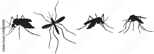 Silhouette of mosquito