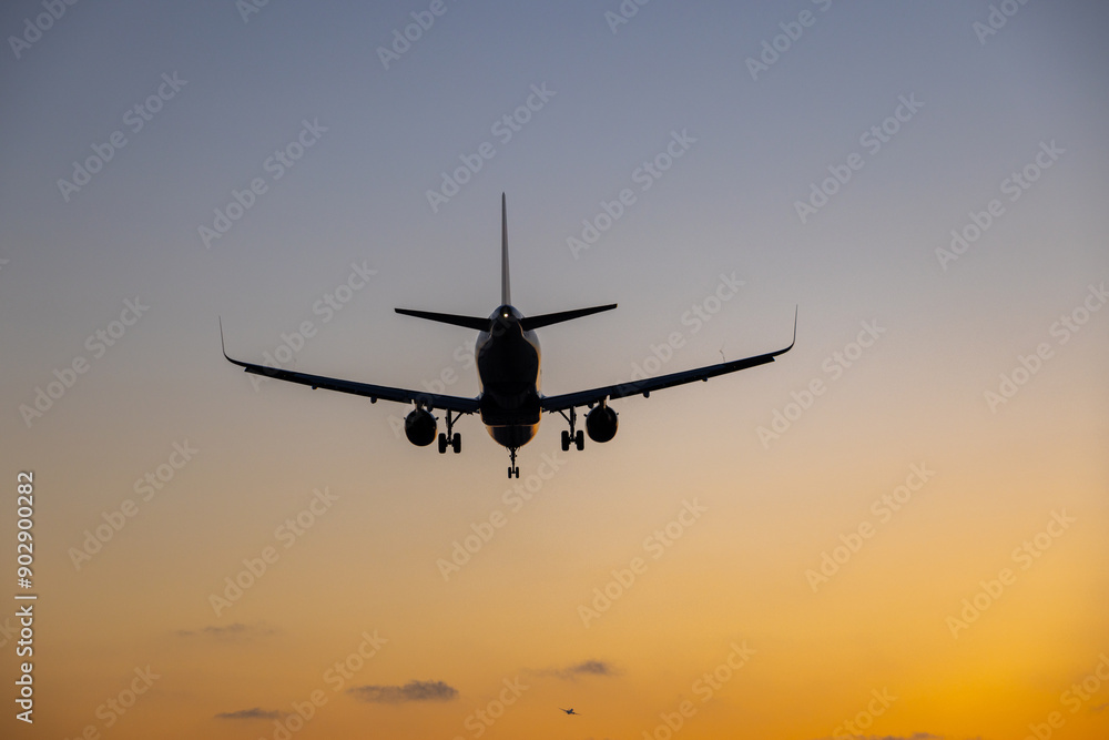 Flight landing at sunset Flight landing at sunset