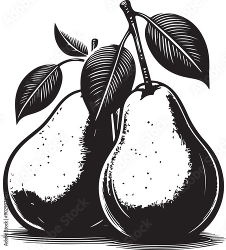 Fresh ripe pears Vector Ilustration Silhouette